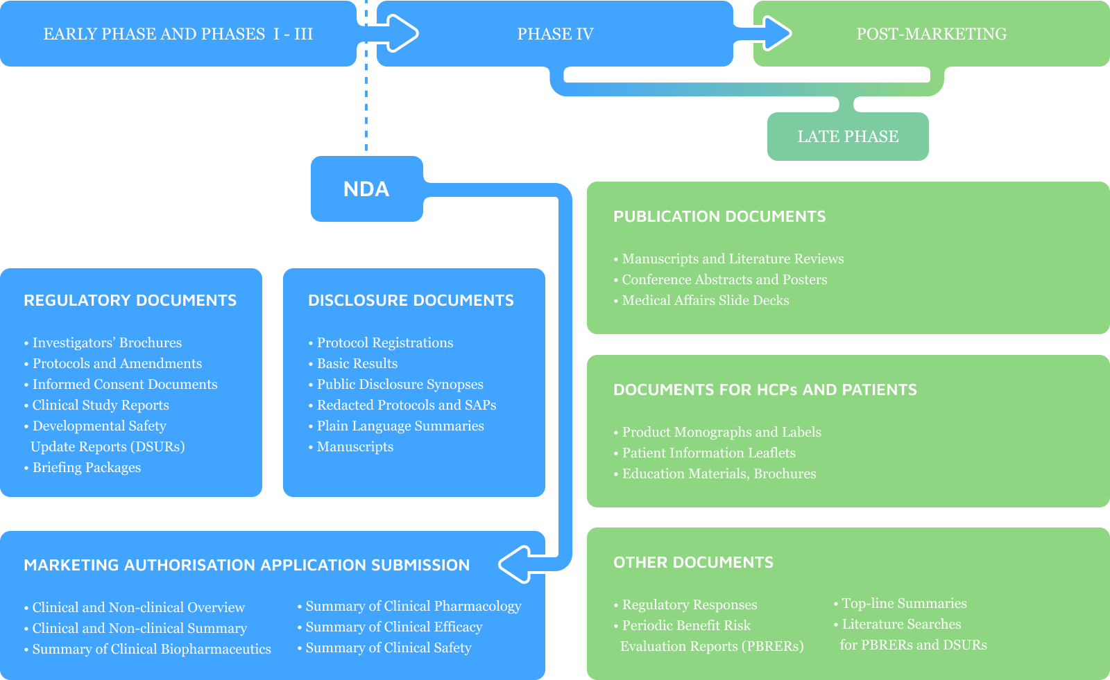 Drug Development Process