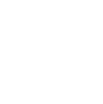 pharmacovigilance audits and inspection