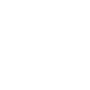 Why we do it icon